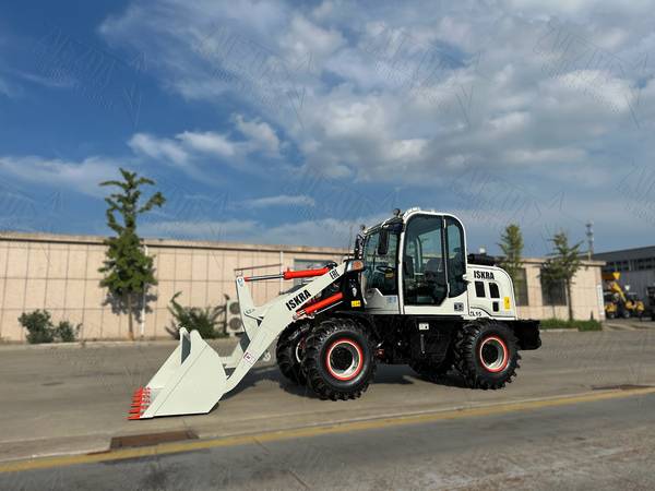 Мини-погрузчики - Случайное фото к тексту №3