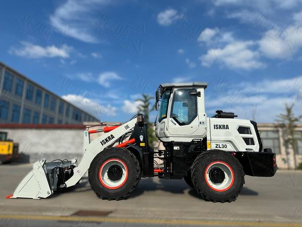 ISKRA ZL30(NEW) - Фото №3