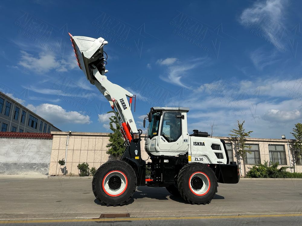 ISKRA ZL30(NEW) - Фото №5